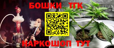 крисы Малгобек