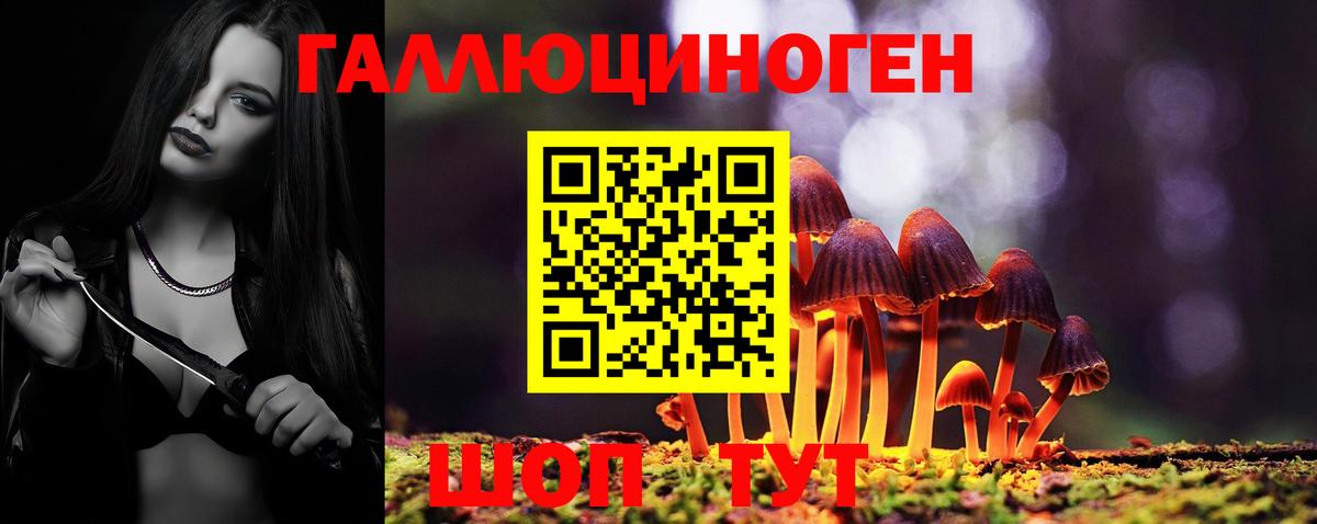 Галлюциногенные грибы MAGIC MUSHROOMS  Псилоцибиновые грибы MAGIC MUSHROOMS  купить наркотики сайты  Ефремов  Вход с VPN 