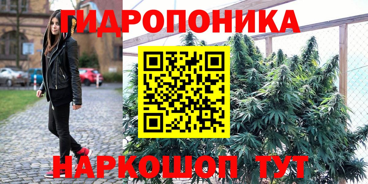 Бошки Шишки индика  Шишки марихуана OG Kush  Вход с VPN  Бошки Шишки OG Kush  Бошки Шишки тримм  Ефремов 